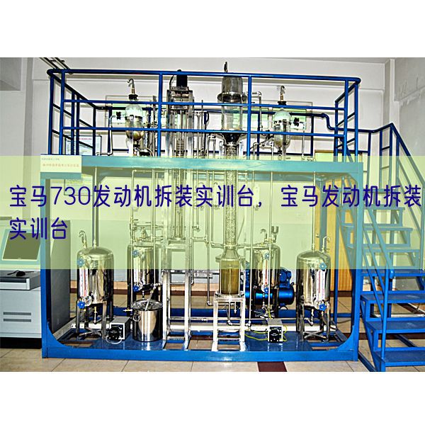 寶馬730發(fā)動機(jī)拆裝實訓(xùn)臺，寶馬發(fā)動機(jī)拆裝實訓(xùn)臺(圖1)